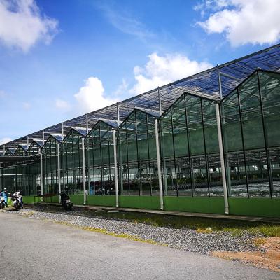 China Orchid Glass Production High Value Commercial Glass Greenhouse for sale