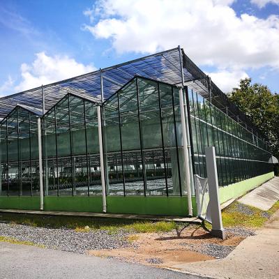 China China Glass Commercial Agricultural Glass Greenhouse For Orchid for sale