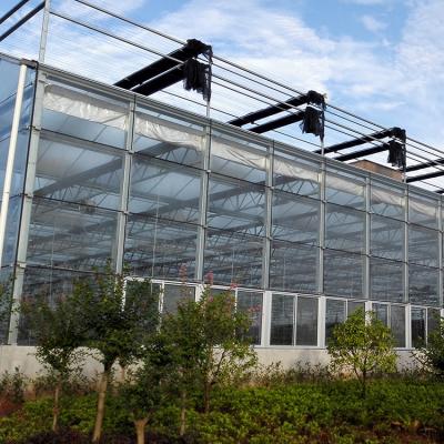 China Glass Low Cost Galvanized Steel Structure Large-Span Glass Greenhouse for sale