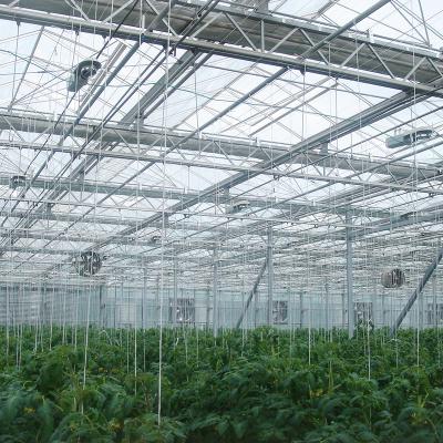 China Double-Layer Cavity Glass Cover Pepper Glass Greenhouse For Sale for sale