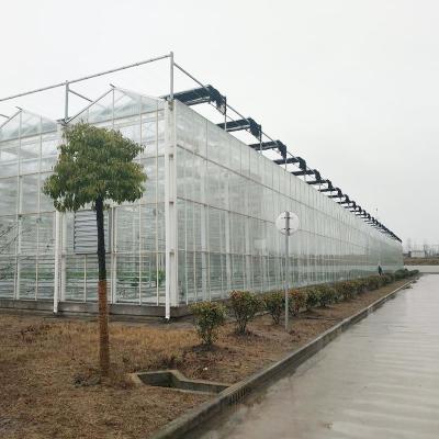 China Home Sale Of Large Multi Span Glass Ultraviolet Proof Glass Greenhouse for sale