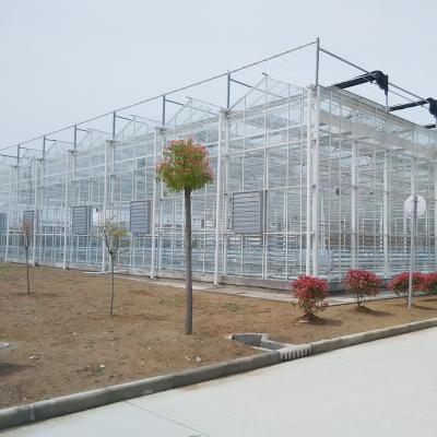 China Glass Galvanized Steel Structure Strawberry Greenhouse For Philippines for sale