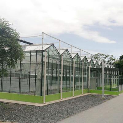 China High Multi-Span Glass Tunnel Glass Panel Greenhouse For Strawberry for sale