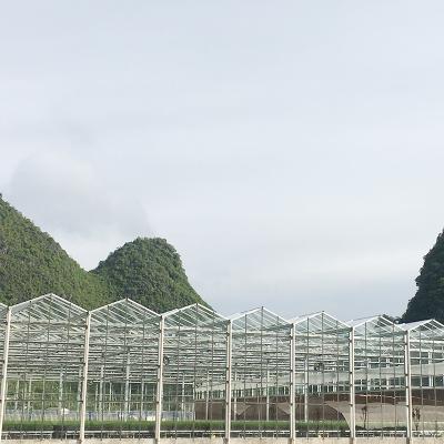 China Double-Layer Cavity Glass Cover Agriculture Strawberry Glass Greenhouse for sale