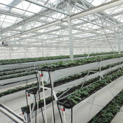 China Natural Ventilation Glass Strawberry Glass Greenhouse For Sale for sale