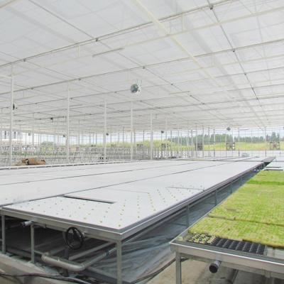 China Double-Layer Hollow Glass Cover Glass Nursery Multispan Greenhouse for sale