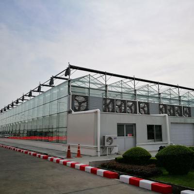 China 88%-97% Light Transmission Glass Lettuce Agricultural Hydroponic Greenhouse for sale