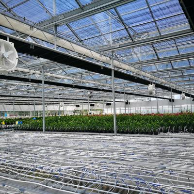 China Glass Galvanized Steel Structure Hydroponic Lettuce Glass Greenhouse for sale