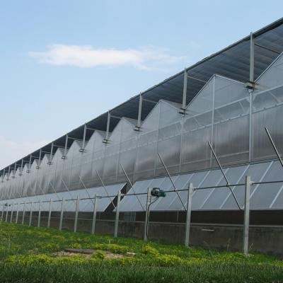 China Professional PC Sheet Orchid Galvanized Steel Structure PC Greenhouse for sale