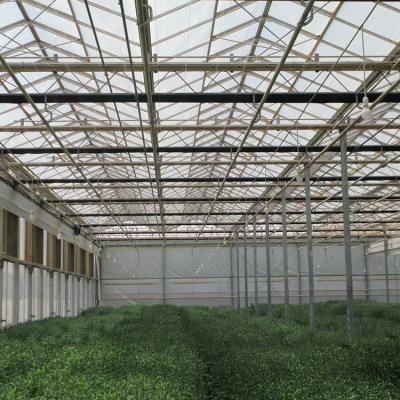 China PC Sheet Multi-span Garden Flower Polycarbonate Panel Greenhouse for sale