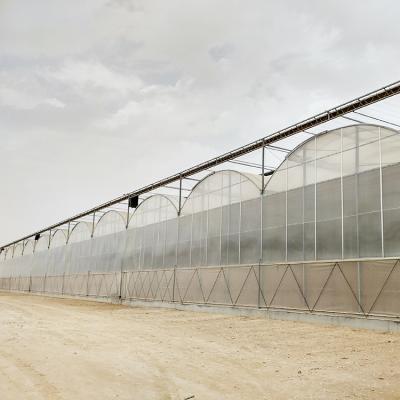 China Commercial PC Sheet Mill Greenhouse For Sale For Different Climate Regions for sale