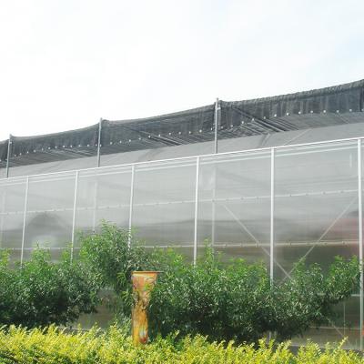 China PC Sheet Improve Heat Insulation Seeding Commercial Nursery Greenhouse For Sale for sale