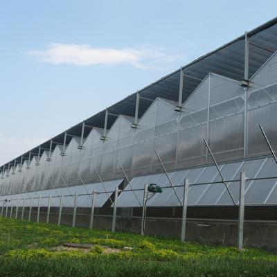 China PC Sheet Low Cost Multi Span Polycarbonate Sheet Hydroponic Greenhouse for sale