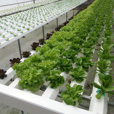 China Hot Selling PE Plastic Film Hydroponic Greenhouse For Farming And Farming for sale