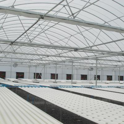 China PE Size Full Multi-span Agricultural Hydroponics Greenhouse for sale