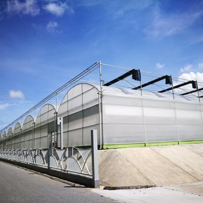 China PE Steel Frame Structure Greenhouse , Agricultural Film Greenhouse For Mill for sale