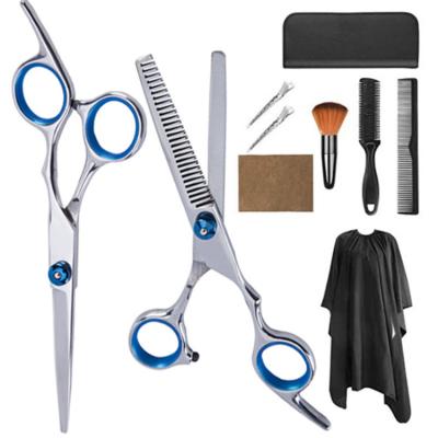 China Thinning Scissors Hair Beauty Shears Hairdressing Scissors Stainless Steel Barber Shearshair Cutting Scissors Set for sale