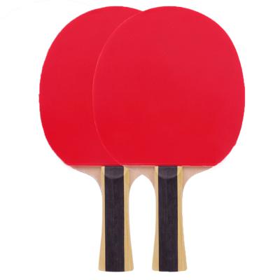 China Eco - Friendly Products And Packing Material Hot Selling Table Tennis Set Retractable Table Tennis Rackets for sale