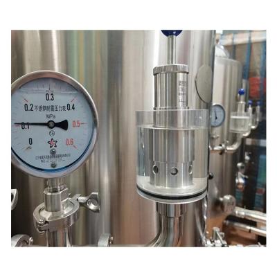 China Hotels 300 L 500L, 1000L Micro Brewing Equipment Beer Brewing Equipment for sale