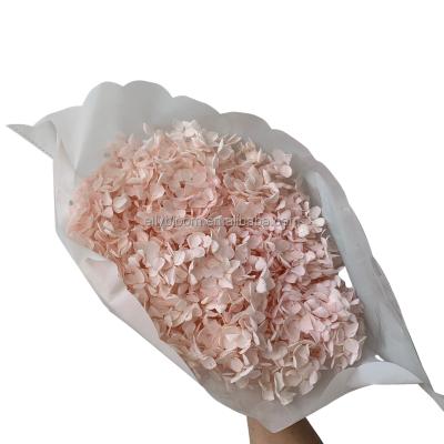 China High Quality Decorative Celebration Flowers Anna's Preserved Hydrangea For Home Decoration for sale