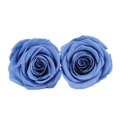 China Rose Everlasting Natural Colorful Fresh 2-3cm Preserved Roses Heads Rose Buds In Box For Wedding for sale