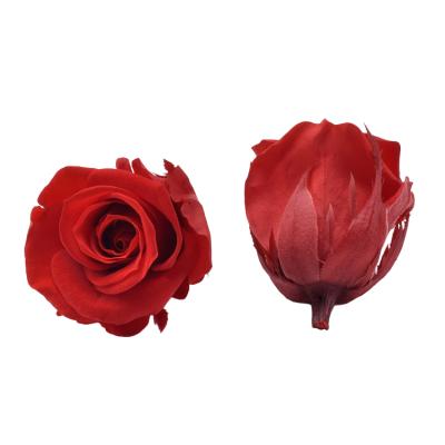 China Natural Rose Buds 2-3 Cm Best A Grade Preserved Rose Buds Real Natural Infinity Roses Long Lasting Everlasting Preserved Flower Head for sale