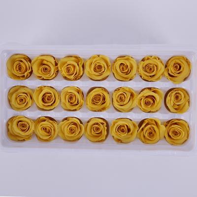 China Natural fresh grade Rose Everlasting Flower 2 or 3 cm Rose Buds Preserved Rose Head of Rose Yunnan Factory Directly Sale A for sale