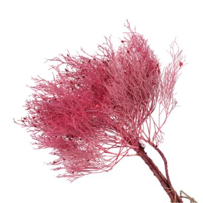 China Wholesale Dried Flowers Fluffy Multicolor Feather Preserved Dream Grass For Flower Arrangement 60-70cm for sale