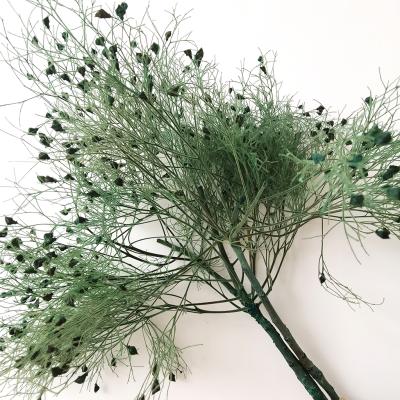 China Yunnan wholesale durable preserved flowers fluffy green feather dreamy grass for flower arrangement home wedding decoration for sale