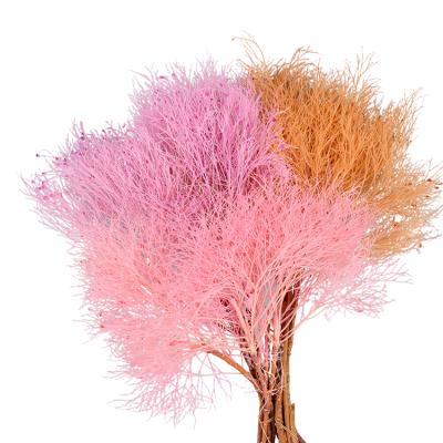 China Minimalist Home Decoration Flowers Preserved Dreamy Grass For Flower Vase Flower Wreath for sale