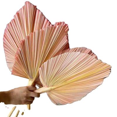 China Factory Direct Wholesal Party Occasion Preserved Flowers Whitening Palm Leaf For Wedding for sale