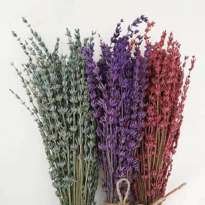 China Flower Arrangement Natural Flower Dried Materials Dry Lavender High Quality Preserved Decorative Flowers for sale