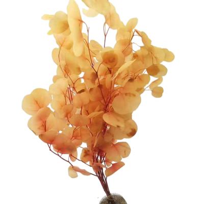 China Wholesale Artificial Preserved Flower Dry Eucalyptus Tree Leaves Preserved Flower Apple Leaf For Decoration for sale