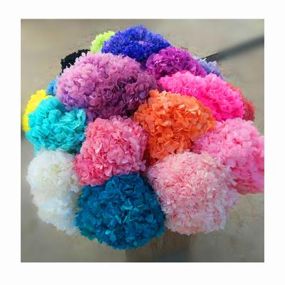 China Durable Wholesale Natural Decorative Flower Large Size Leaves Preserved Hydrangea Simple for sale