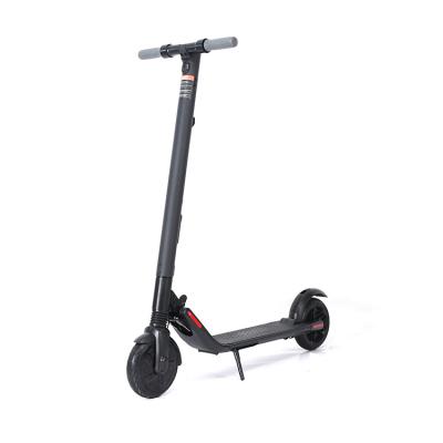 China Fashionable Design Unisex Adults 250W 2 Wheel Standing Tricycle Foldable Electric Scooter for sale