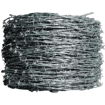 China Hot Dipped Galvanized 16X16 Double Twisted Plastic Prison Barbed Wire Fencing 50kg Barbed Wire Price for sale