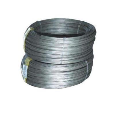 China Construction Factory Supply Zinc Coated Rod 0.3mm Hot Dipped Galvanized High Tensile High Carbon Steel Wire for sale