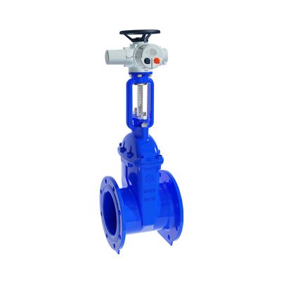 China General Carbon Steel Stem Disc Resilient Motorized Rising Gate Valve For HDPE Pipe for sale