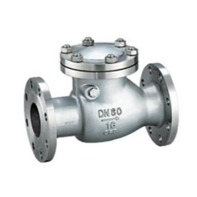 China PN16 DN150 SS Duper Duper Stainless Steel General Swing Type Check Valve For Fuel Oil for sale