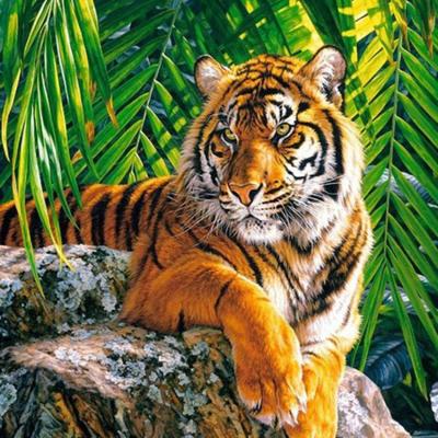 China Personalized Customization 5d Painting Tiger Face Painting 5d Diamond Painting Tiger for sale