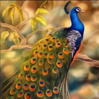 China New Seller Art Nouveau Diamond Painting Peacock Full Drill 5d Diamond Painting Peacock Diy Diamond Painting Classic/Postmodern for sale