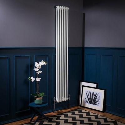 China Modern Professional Production Towel Radiator House Water Heater Column 2 Radiator for sale