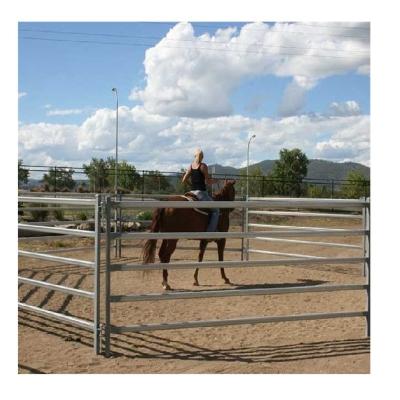 China Best Price Easily Assembled Galvanized Welded Yard Fence Panel Livestock Horse Farm Fence for sale