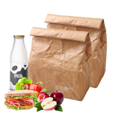 China Waterproof Reusable Reusable Insulated Tyvek Tote Brown Paper Lunch Cooler Bag for sale