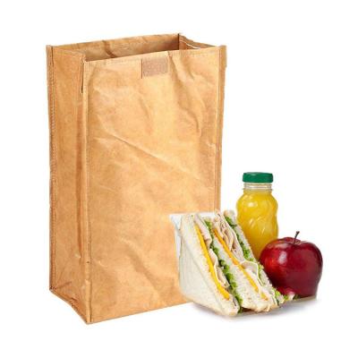 China Custom Reusable Waterproof Eco Cooler Brown Tyvek Lunch Insulated Freezable Paper Bag For Women for sale