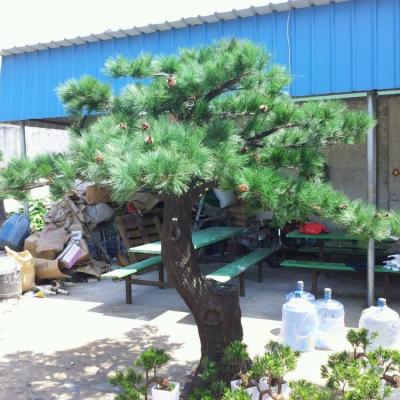 China Mini Modern Artificial Bonsai Tree Hot Sale Home Artificial Pine Tree for sale