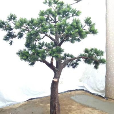 China Fiberglass Evergreen Indoor Large Trunk Plastic Leaves Pine For Garden Decoration for sale