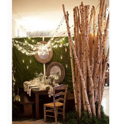 China Minimalist Indoor Artificial 3m Birch Tree with Natural Trunk for sale