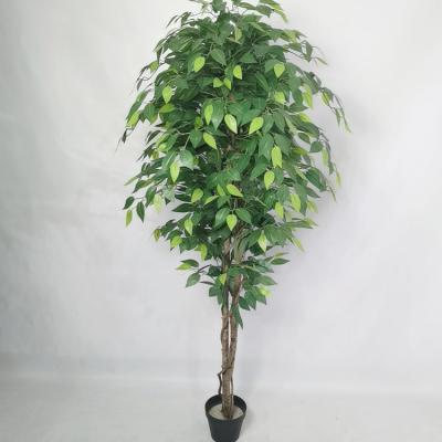 China Indoor Ornamental Plants Benjamin Ficus Weeping Fig Tree Artificial Almost Natural Trunk Wholesale Durable Low Price for sale