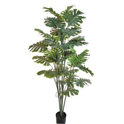 China Eco-Friendly Materials 48 Inches - Tall Faux Green Swiss Cheese Tree Artificial Monstera Plant Supplies for sale